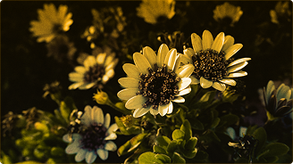 The Psychology of Why We Love True Crime